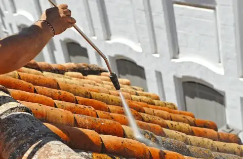 Nettoyage de toitures - Ladon